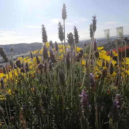 D'hotes D'aqui D'aia Bed & Breakfast